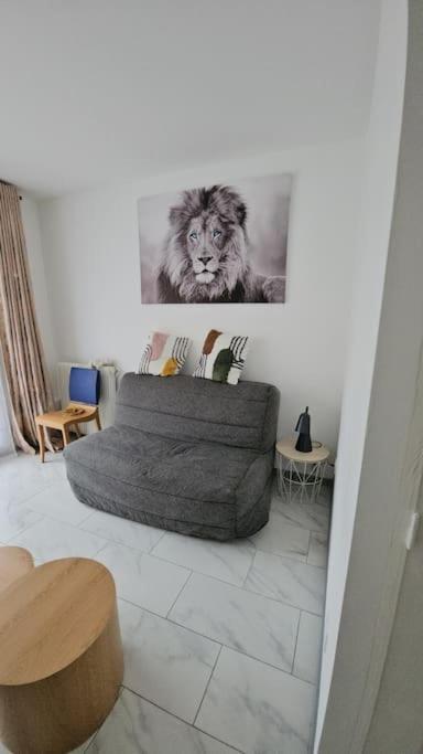 Le Tolstoi Chic Apartment Villeurbanne